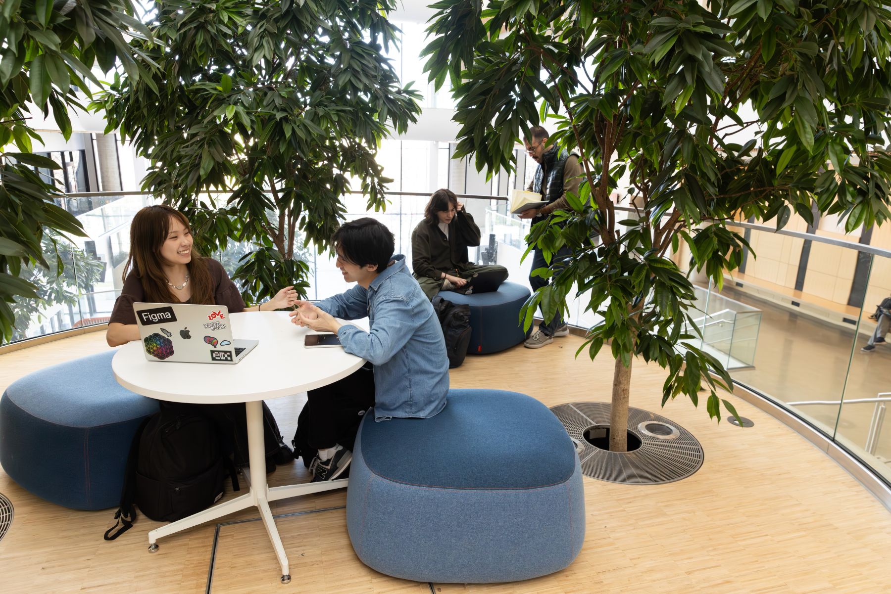 Students sit and work together at tables in a bright university lounge surrounded by indoor trees.